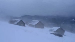 Снежный буран, метель, вьюга. Релаксация и спокойствие под звуки зимы.