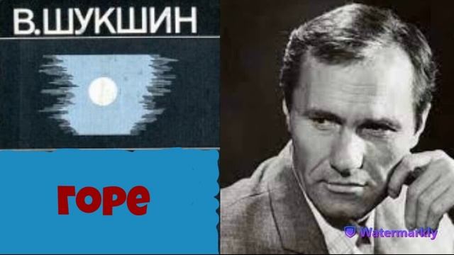 Василий Шукшин.Горе.