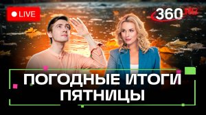 Погода 31 октября и прогноз на завтра. Лосиный остров. Подмосковье. Трансляция 360