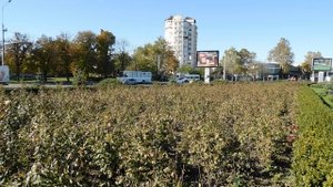 22..10..2025  тэц  ПВН MP4   (303)