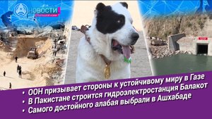 Новости Большой Азии (выпуск 1085): Мечта о мире, гидроэнергетика Пакистана, алабай года