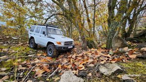 Разговорное видео по вашей просьбе. Rgt ex86190 на бюджетной бк системе