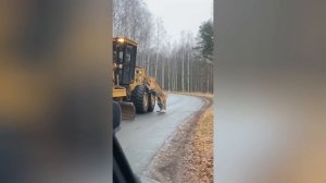 Сгенерированный ИИ тигр «напал» на колесо грейдера в Хабаровском крае