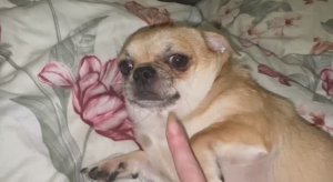 Всем наидобрейшего утречка и чудесного начала дня.