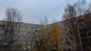 Собрание ворон