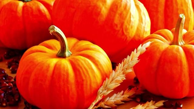 УТРО ИНГУШЕТИИ 05.11.25.