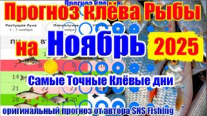 Прогноз клева рыбы Ноябрь 2025 Лунный Календарь рыбы