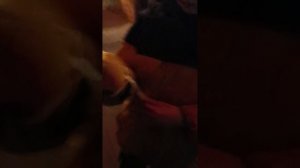 посмотри пожалуйста