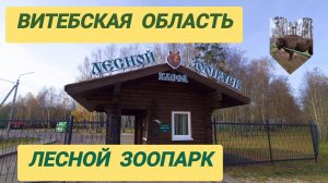 Беларусь. Витебская обл. Лесной Зоопарк 🐻
