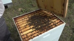 Народ прича 31.10.2025.