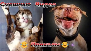 Самые смешные видео приколы|Юмор и Приколы.