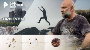 Прыгуны — Как устроен мир с Тимофеем Баженовым (31.10.2025)