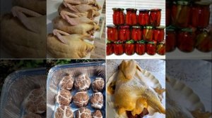 🔴 Xорошего настроения вам и всех благ!...🍁🍇🍂🍇🍁🍇