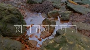 Нефтяные отходы затянули пленкой Волгу