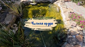 Чистка пруда.