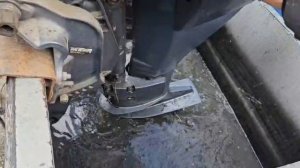 Yamaha F25 (1037664)