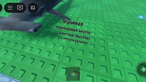 измеряем рост существ.