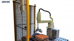 Робот штабелер ZENYER 617 30.000 яиц/час