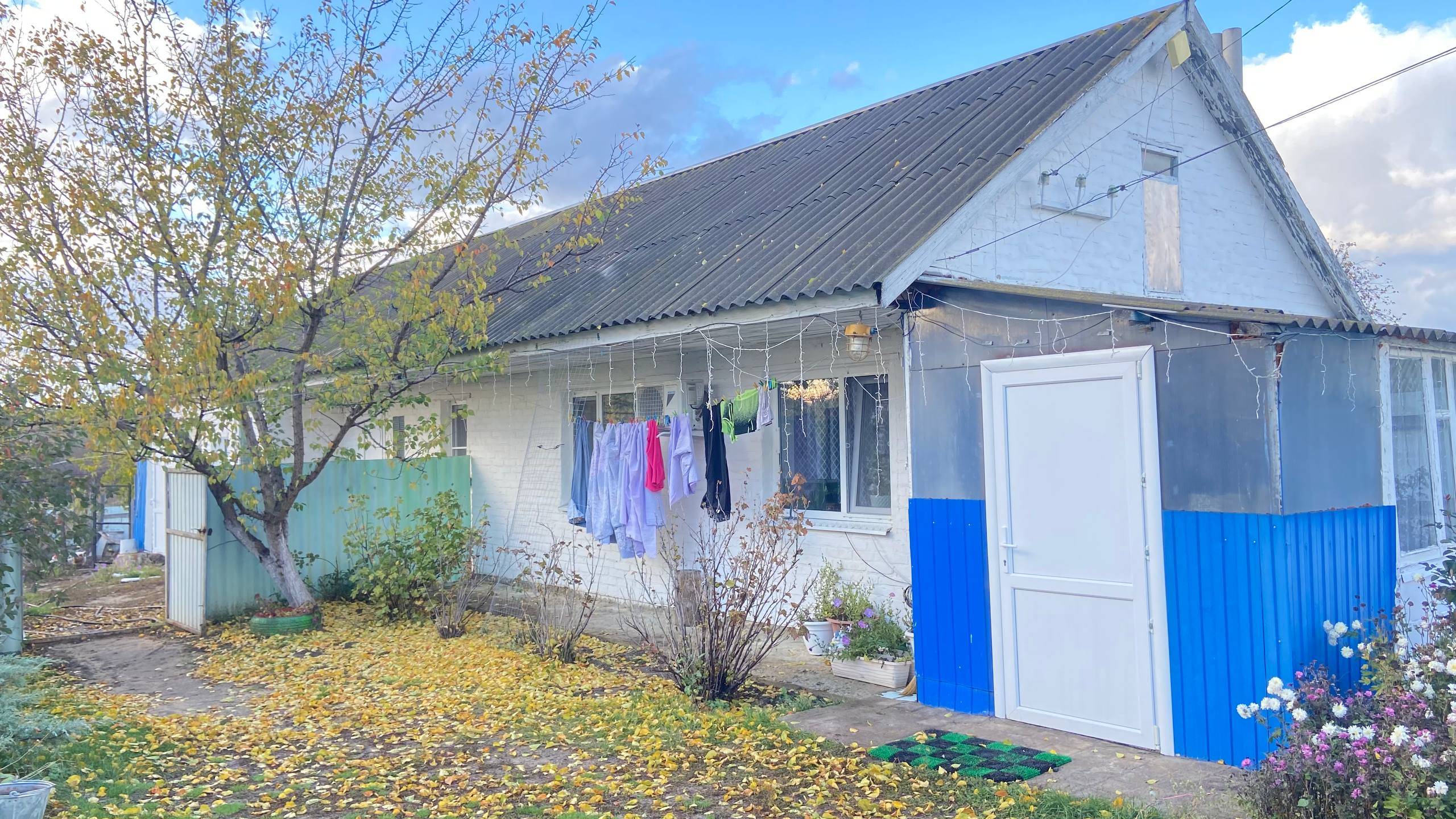 МУЛЬЧИРУЮ ЛУК И ЧЕСНОК НА ЗИМУ. ЗАКОНЧИЛИ УБИРАТЬ УЧАСТОК