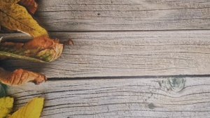 Косметичка октября. Часть 2