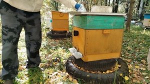 Сублимация