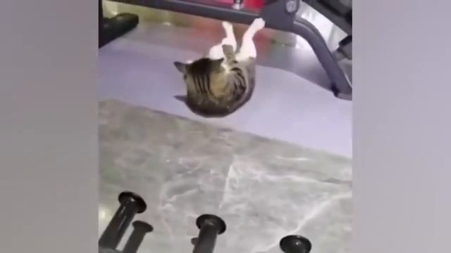 "..Он не бессилен для вас, но силён в вас.." / 2-е Коринф. 13:3 / Библия