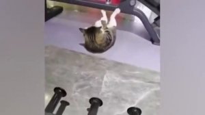 "..Он не бессилен для вас, но силён в вас.." / 2-е Коринф. 13:3 / Библия