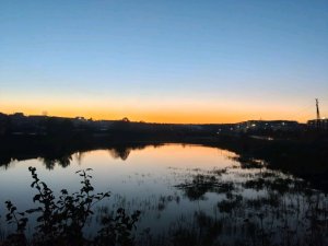 Играю в роблокс