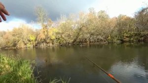 ВОТ ЭТО ЩУКИ ТУТ ПЛАВАЮТ. ЗАБРАЛСЯ В ЛЕС И НАЛОВИЛ. Рыбалка на спиннинг в закоряженной речке осенью