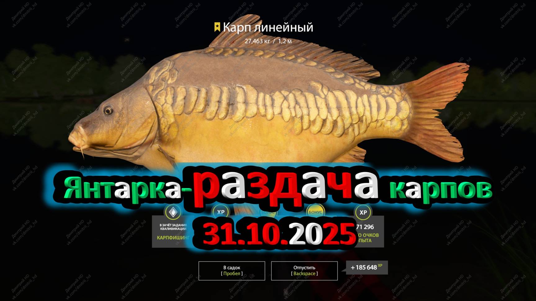 Карп линейный трофей оз.Янтарное #Русскаярыбалка4