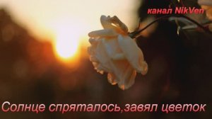 Ветка сорвана