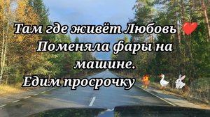 Поменяла фары на машине 👀 Едим просрочку 🐓🪿🐇