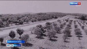 11.30 – «Вести. Адыгея» от 31.10.2025г.