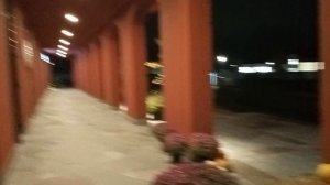 VID20251031191648.mp4