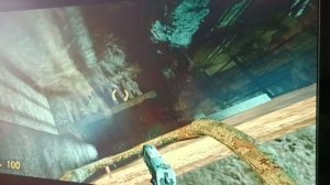 Мы не ходим в редли хофлин' смертельный город