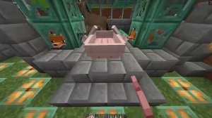 Украдите брейнро в майнкрафте