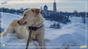 мой второй фильм " Зимний Рич"