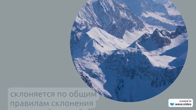 Фамилия Алишин: история, происхождение и особенности склонения в русском языке - полный гид