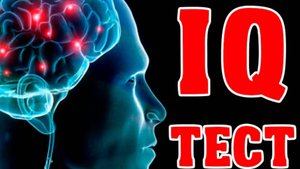 прохожу тест на IQ месте с Ваней челлендж