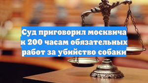 Суд приговорил москвича к 200 часам обязательных работ за убийство собаки