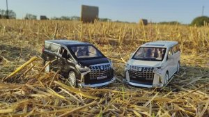 Сравнение моделей  Toyota Alphard третьего поколения в масштабе 1:24 от Che Zhi.