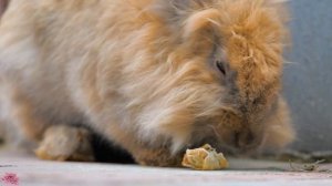 Расслабляющая музыка — тихий путь к душевному спокойствию и свету внутри