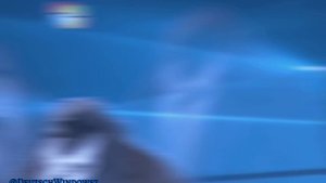 𝗪𝗶𝗻𝗱𝗼𝘄𝘀 𝟕 𝗲𝗱𝗶𝘁