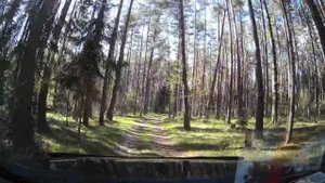 Песня. Двери Рая я открою для тебя, любовь моя.