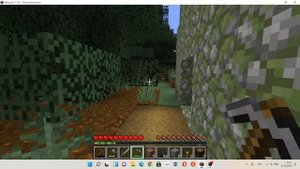 маинкрафт странный биом