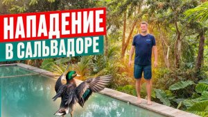 Опасный Сальвадор. НАПАДЕНИЕ В ЦЕНТРАЛЬНОЙ АМЕРИКЕ! СЕРВИС ПРОСТО КОШМАР!