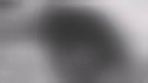 arigato nobody story