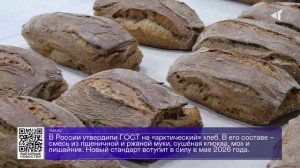 ДАЙДЖЕСТ «СЕВЕРНОГО ГОРОДА»,31.10.2025