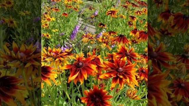 Л. Татьяничева, любимая поэзия часть 4.mp4 смотреть онлайн