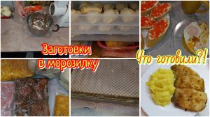 Заготовки в морозилку/ Что готовили?!/ Будни домохозяйки.